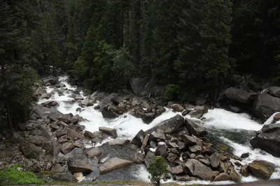 DSC_4705 (Large).JPG